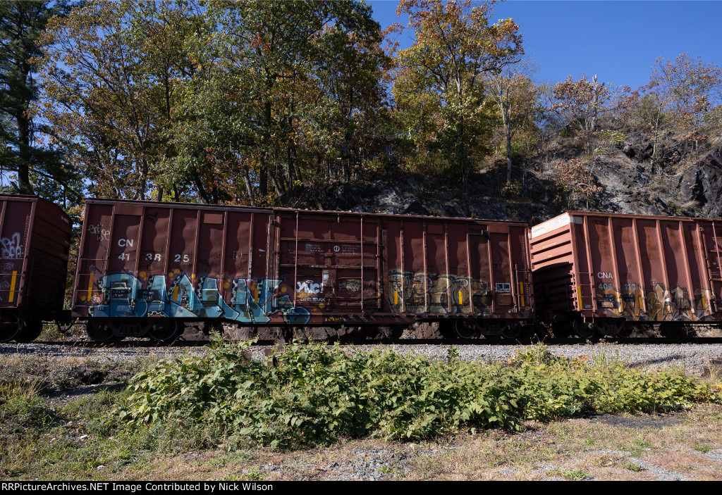 CN 413825